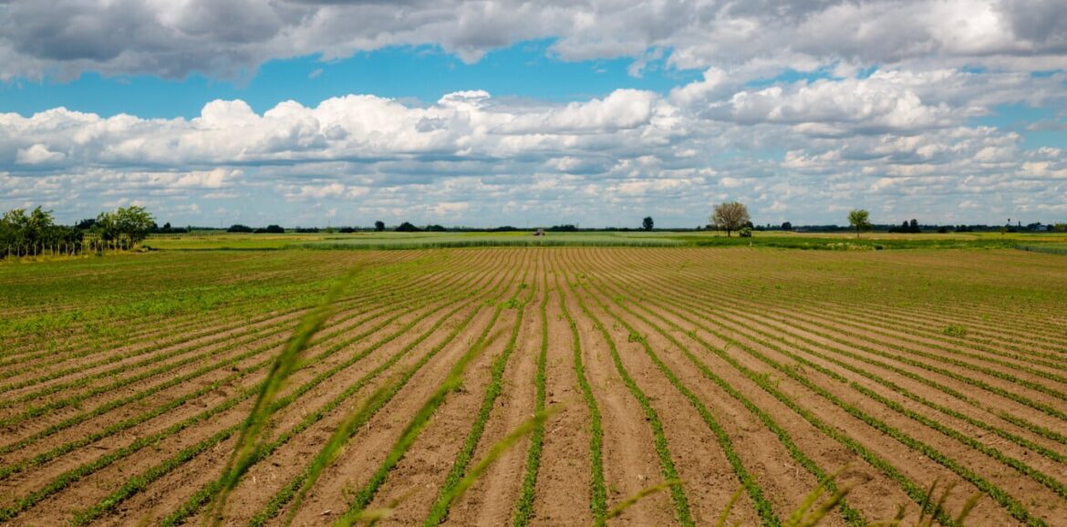 Corso di imprenditore agricolo professionale