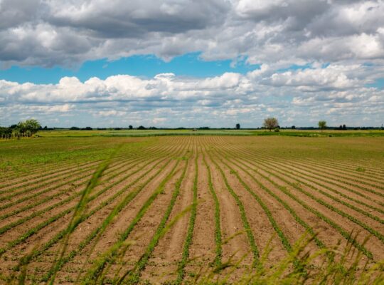 Corso di imprenditore agricolo professionale