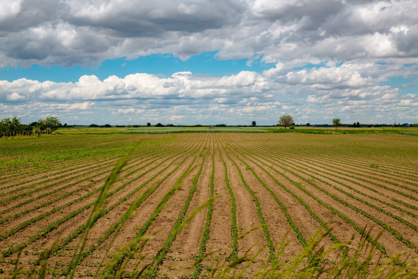 Corso di imprenditore agricolo professionale