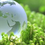 Business Administration per l’economia circolare e la green economy