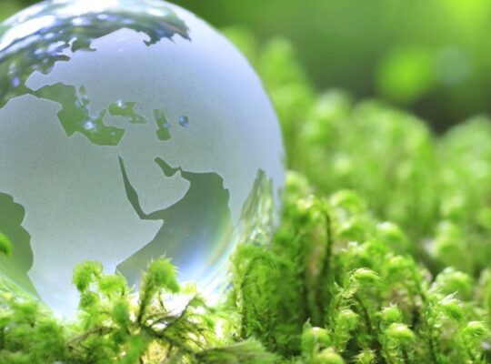 Business Administration per l’economia circolare e la green economy