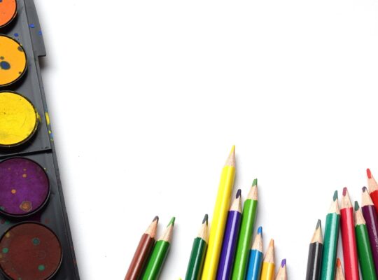 L'insegnante di scuola primaria: competenze pedagogico-didattiche.