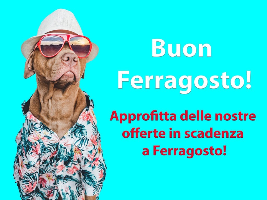 Offerte di ferragosto