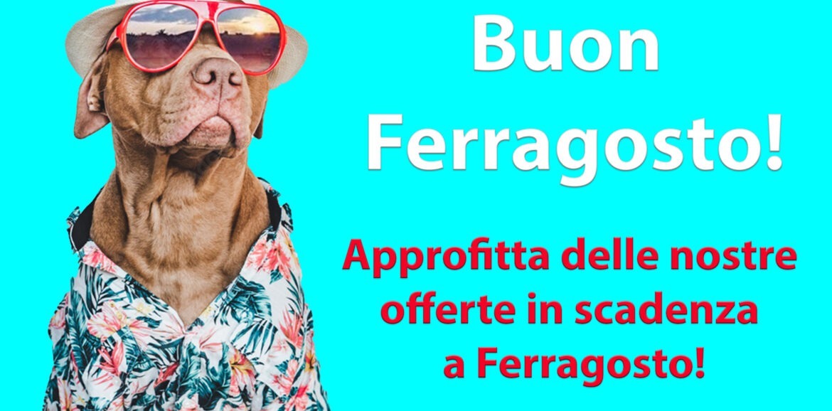 Offerte di ferragosto