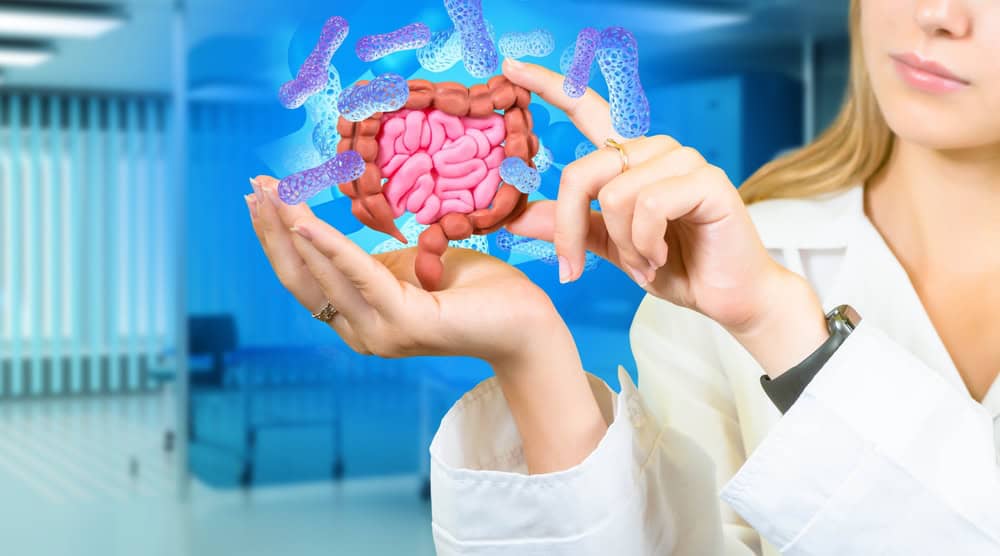 Laurea magistrale scienze della nutrizione umana